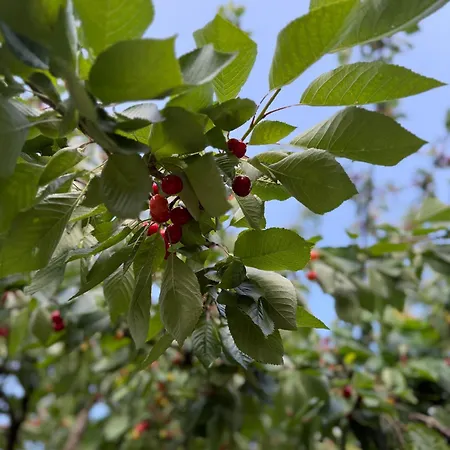 Apartmán Viki54 Fewo04 