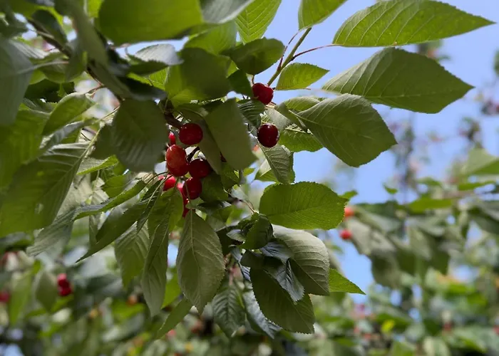 شقة Viki54 Fewo04 